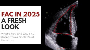 fac in echocardiography