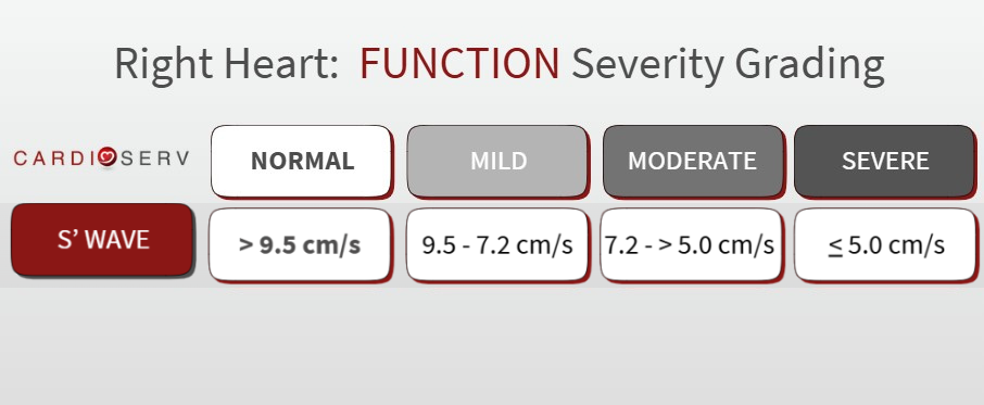 s' velocity graded severity values