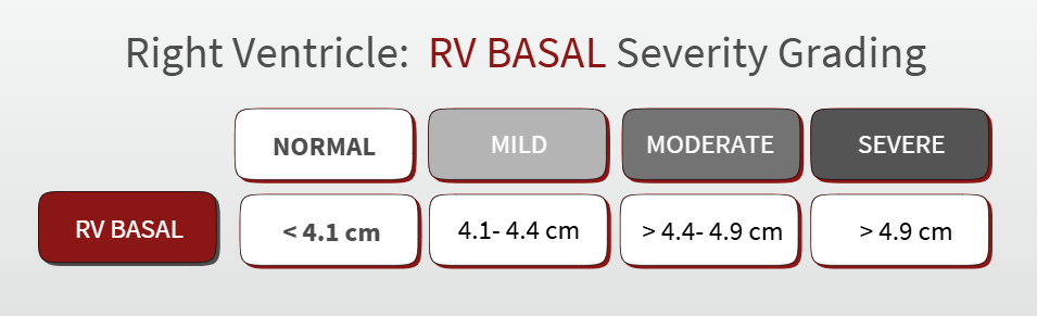 rv basal diameter 2025 ase guidelines