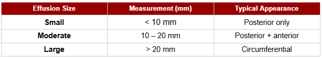 pericardial effusion grading ase