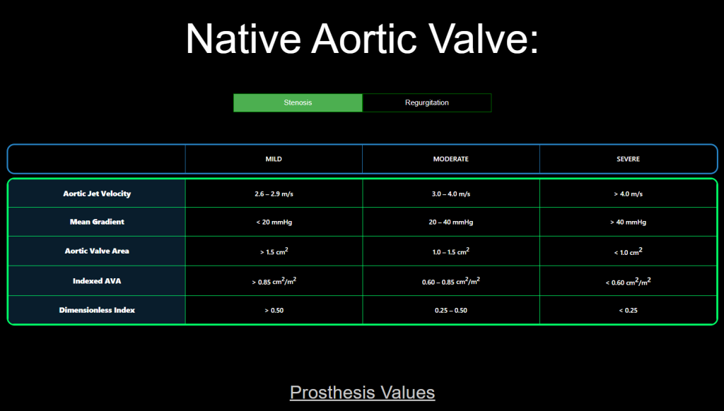 echoworkflows native aortic valve