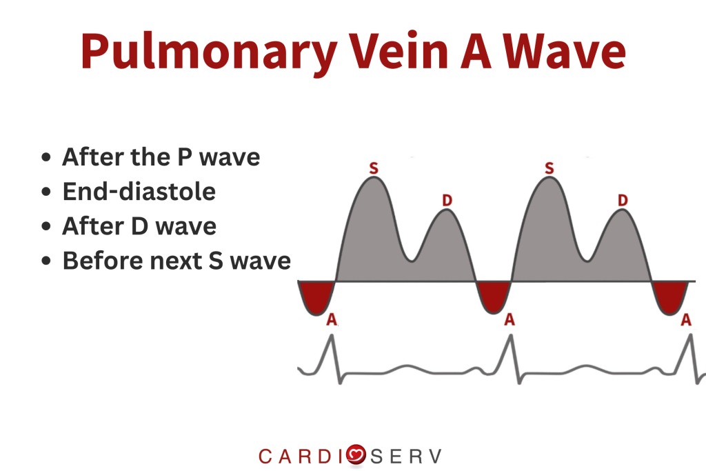 where to measure pulmonary a wave echocardiography