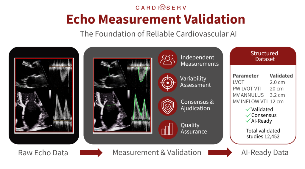 Echo AI validation workflow